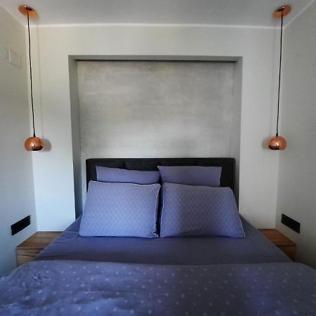 Apartment Pleasure Lux Novi Sad Bagian luar foto