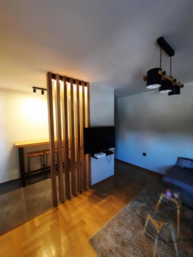 Apartment Pleasure Lux Novi Sad Bagian luar foto
